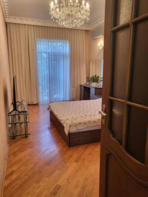 3 Room Apartment in the center of Baku city